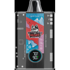 Husky cyber pro Berry Blow Черника / гранат / ваниль / лёд